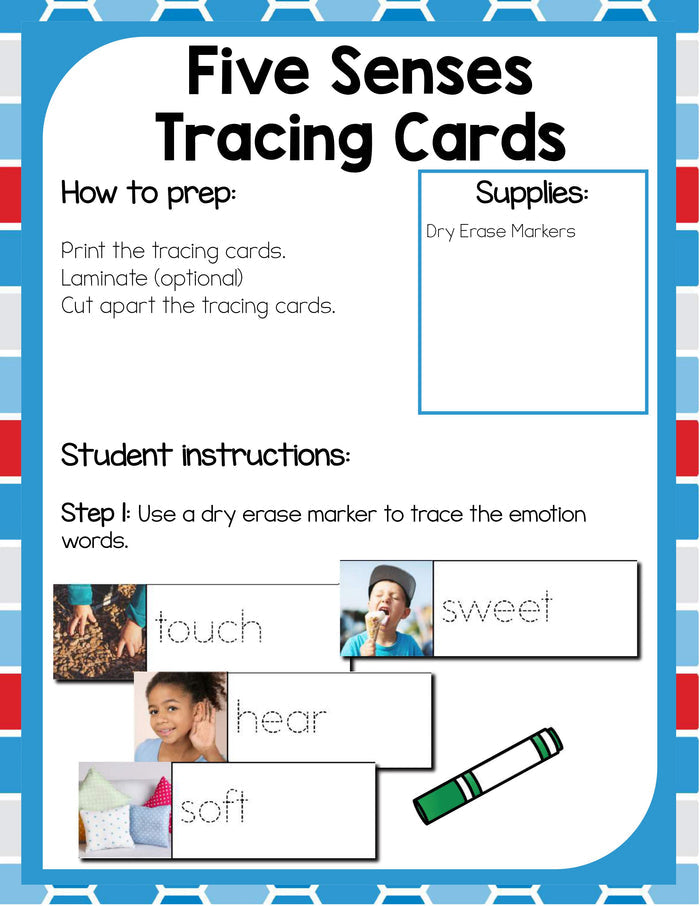 Preschool 5 Senses Theme Pack