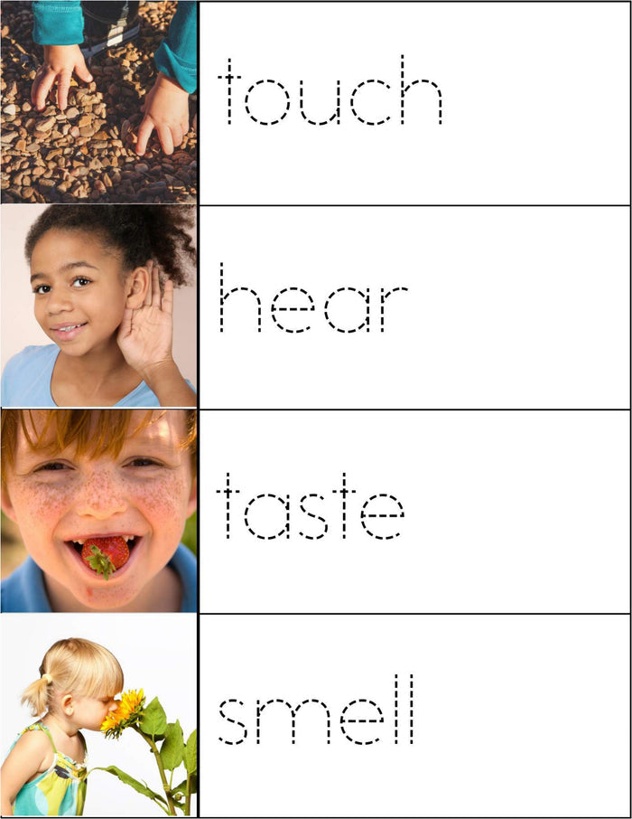 Preschool 5 Senses Theme Pack