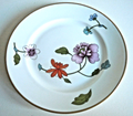 Royal Worcester Astley Bread and Butter Plate 6 1/2"0