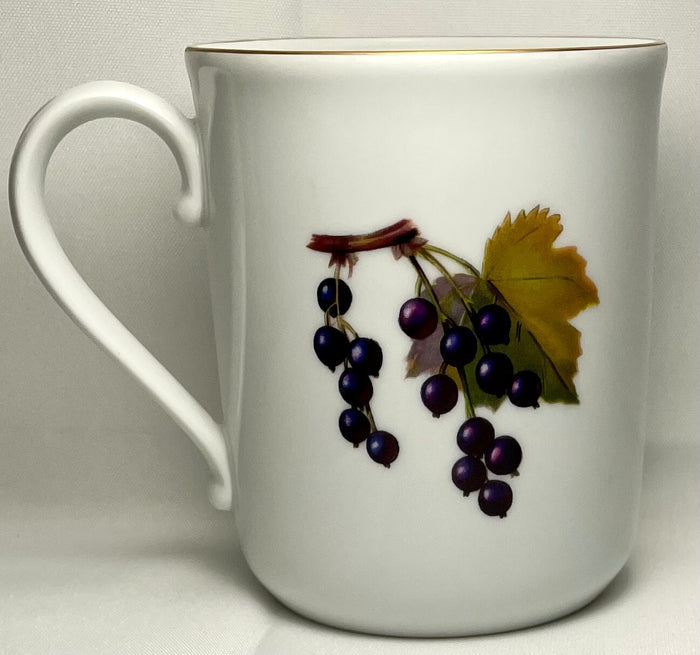 Royal Worcester Evesham Gold Mug 3 5/8"  Ear Handle1