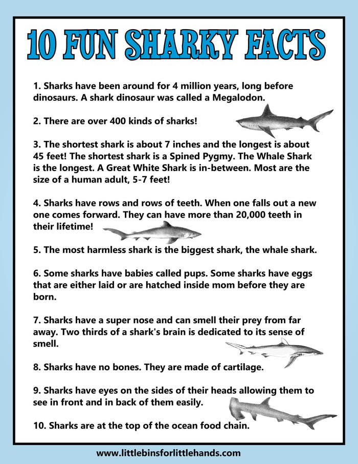 Shark Week Activities Pack | Printable Science, STEM & Ocean Unit