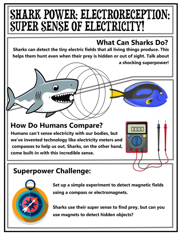 Shark Week Activities Pack | Printable Science, STEM & Ocean Unit