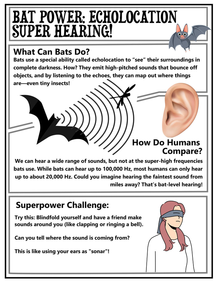 Sound Science Experiments for Kids – Hands-On Physics Unit (K–4 NGSS STEM Activities)