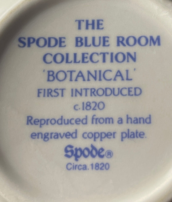 Spode Georgian Collection Botanical Cup Only 2 3/4"1