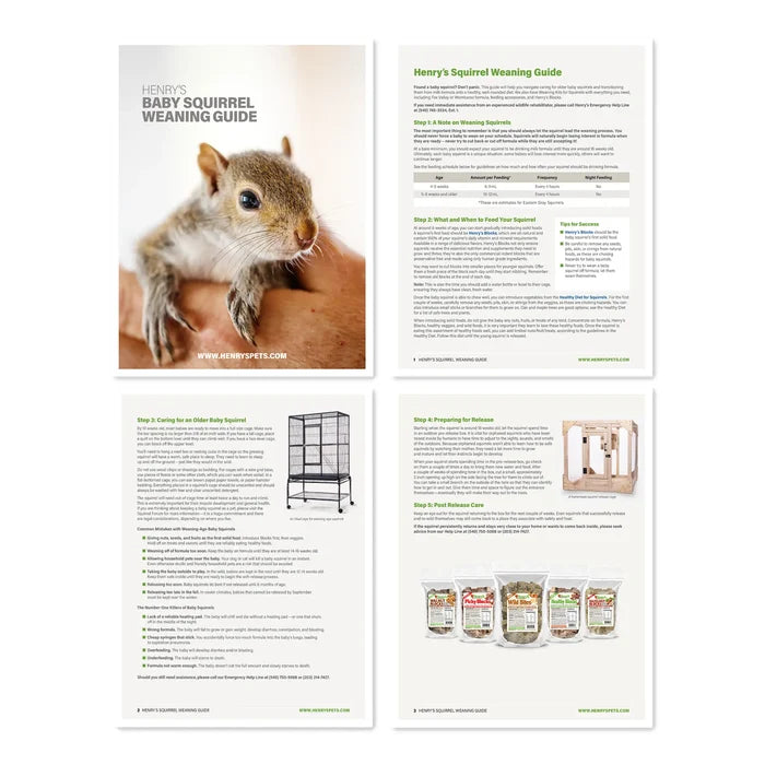 Image of Baby Squirrel Weaning Guide pages.
