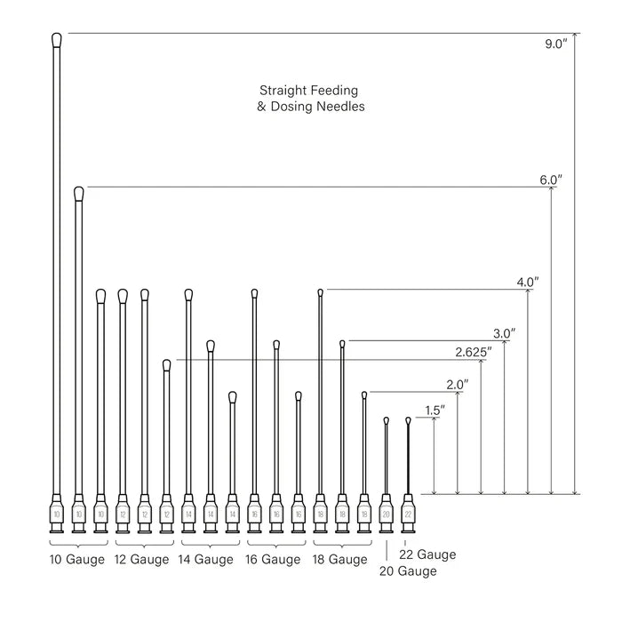Graphic of straight feeding needle gauge sizes and lengths: 10 gauge available in 9", 6", and 4". 12 gauge available in 4" and 2.625". 14 gauge available 4", 3", and 2". 16 gauge available 4", 3", and 2". 18 gauge available in 4", 3", and 2". 20 gauge available in 1.5". 22 gauge available in 1.5".