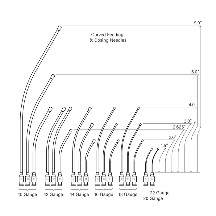 Graphic of curved feeding needle gauge sizes and lengths: 10 gauge available in 9", 6", and 4". 12 gauge available in 4" and 2.625". 14 gauge available in 4", 3", and 2". 16 gauge available in 4", 3", and 2". 18 gauge available in 4", 3", and 2". 20 gauge available in 1.5". 22 gauge available in 1.5".