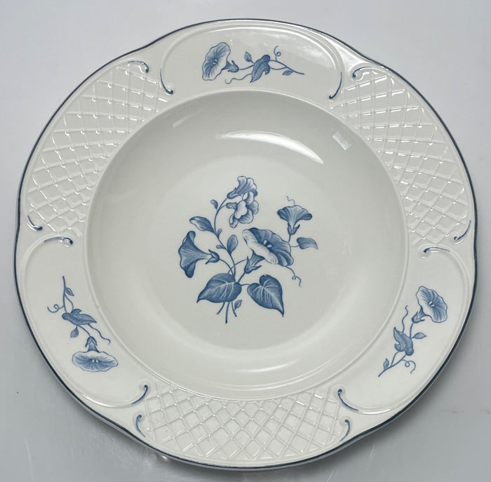 Villeroy & Boch Val Bleu Large Rim Soup Bowl 9"0