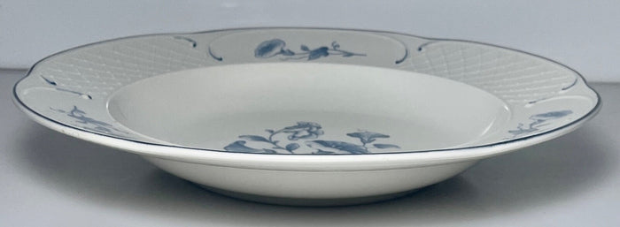 Villeroy & Boch Val Bleu Large Rim Soup Bowl 9"1