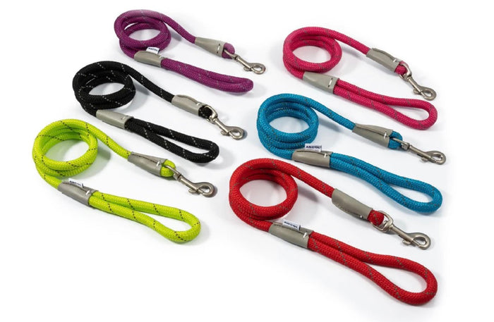 Viva Range Dog Leads