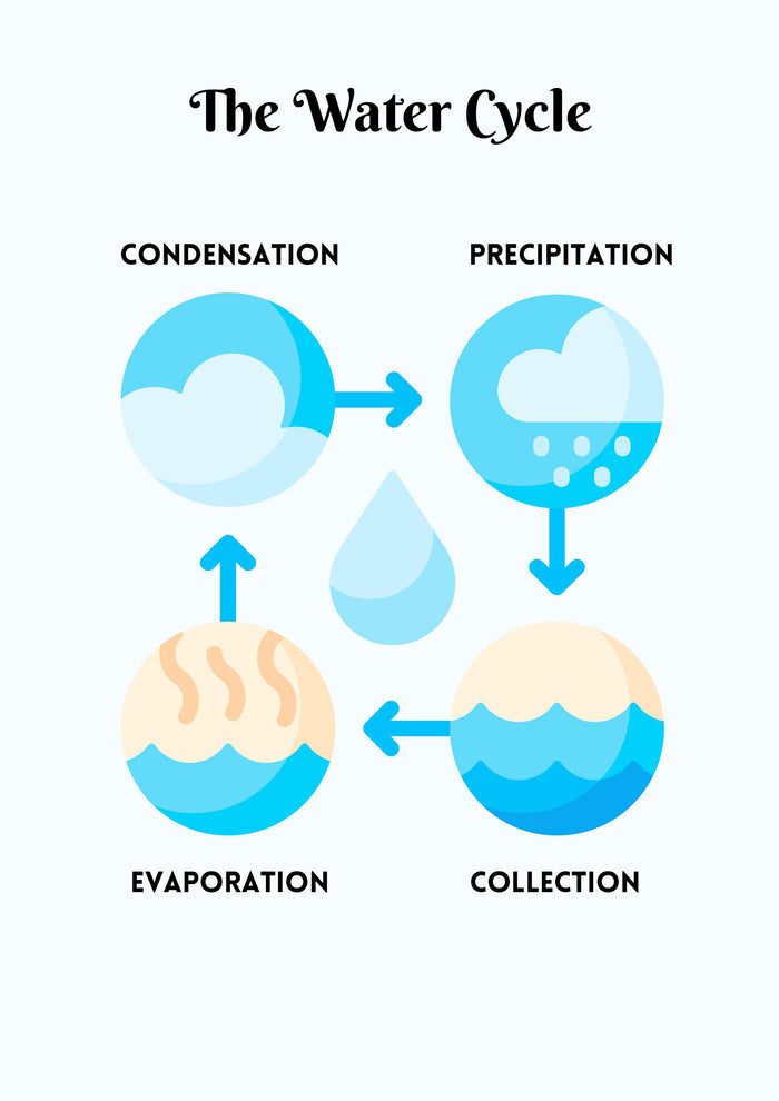 Water Conservation Activity Pack + Water Study Unit | STEM & Science Printable