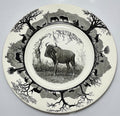 Wedgwood Kruger National Park Dinner Plate Blouwildebees 10 3/4" No Map0